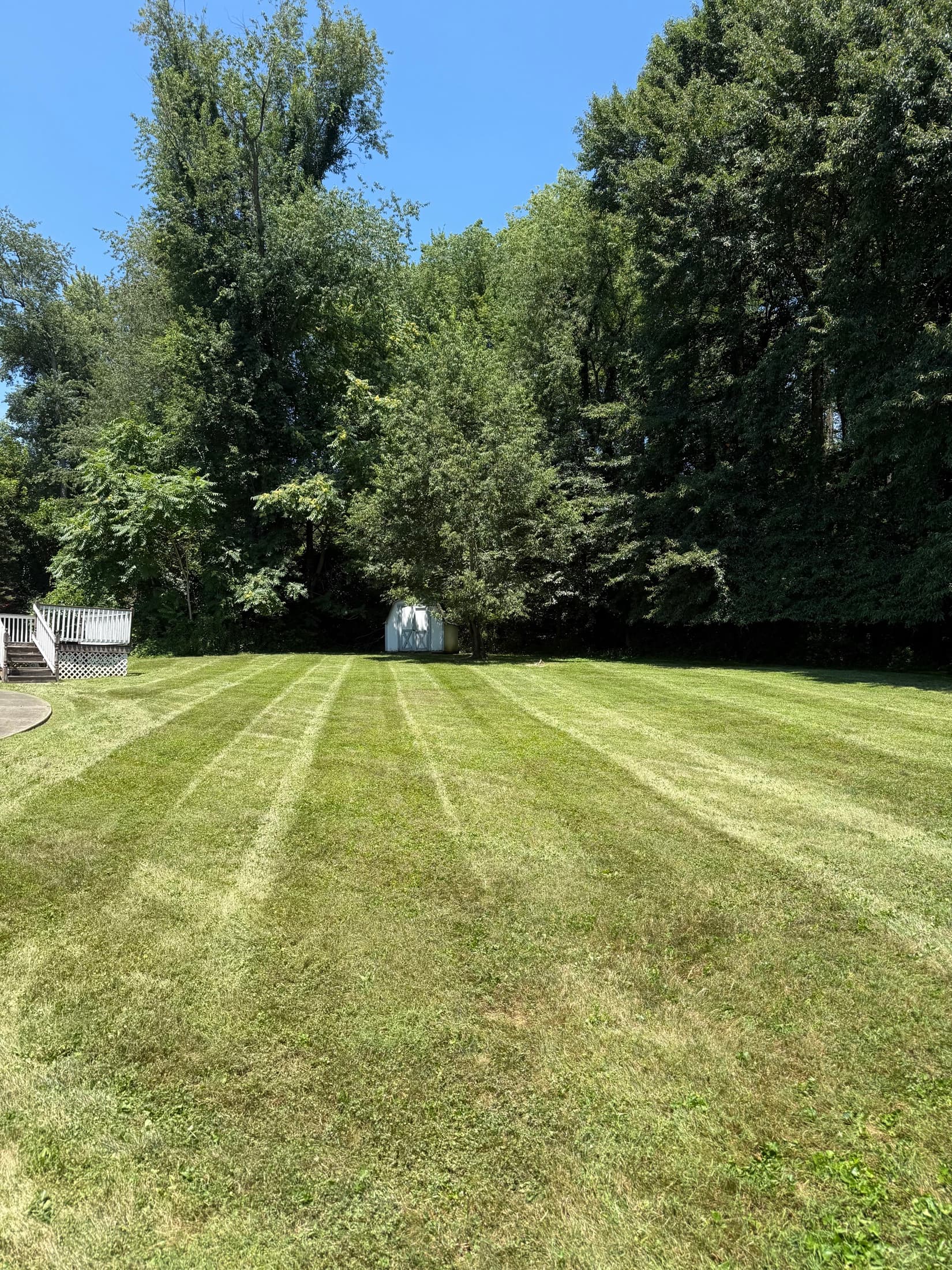 Professional lawn care in New Castle, PA