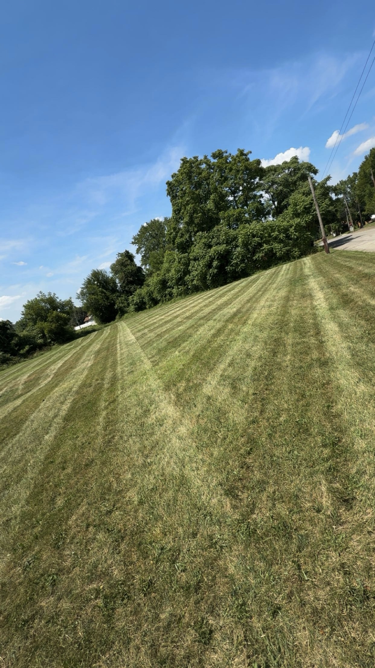 Lawn care stripe work 3