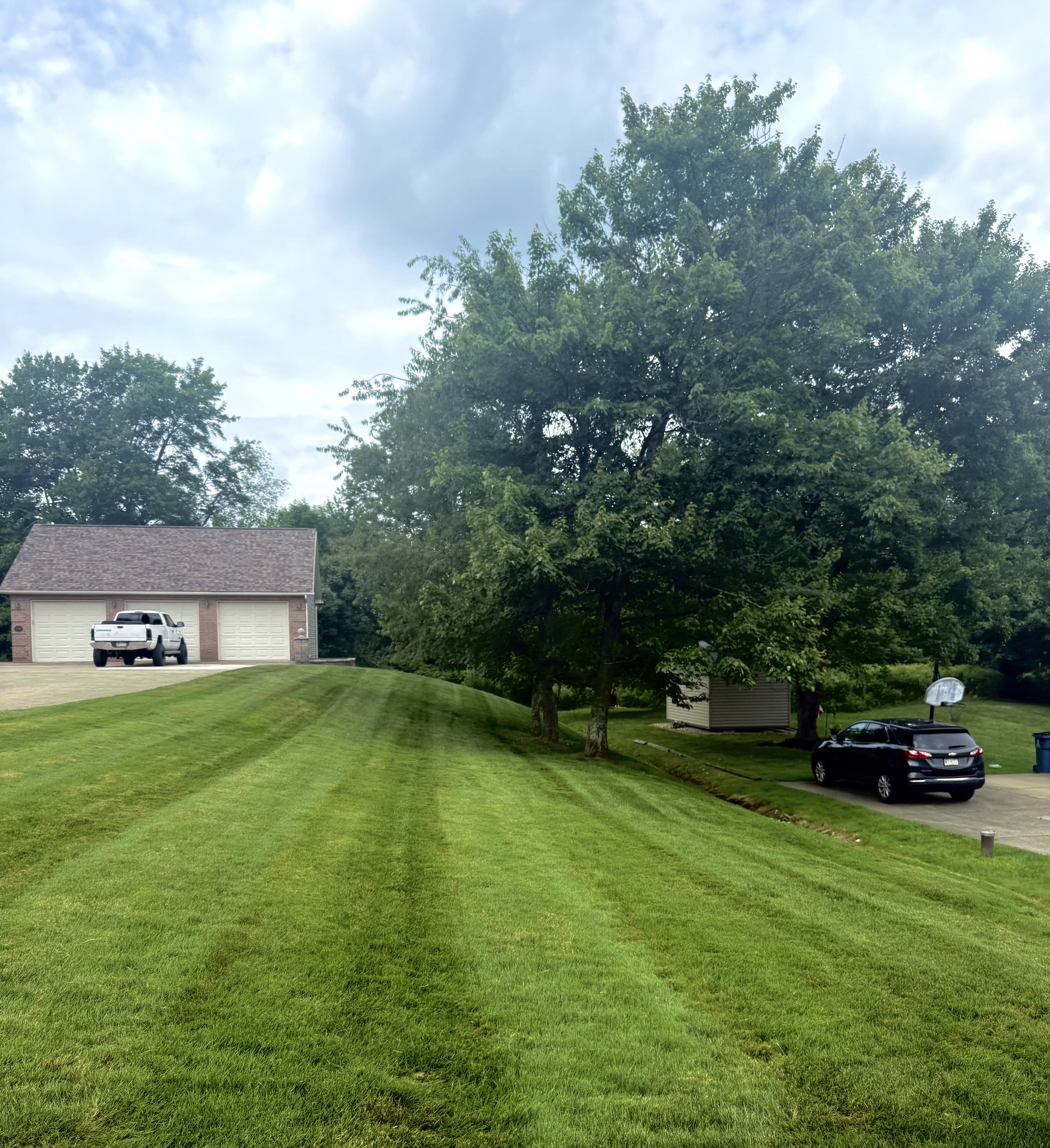 Lawn care stripe work 4